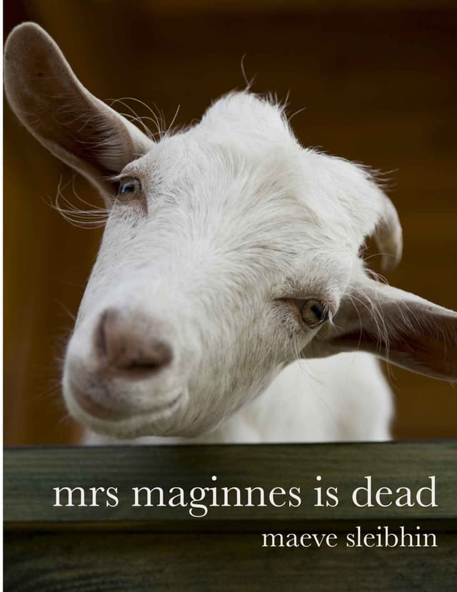 Mrs Maginnes is Dead Cover Photo